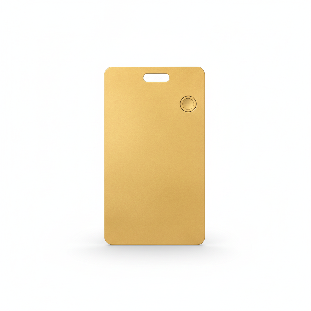 Narro Tag - Carte traceur connectée